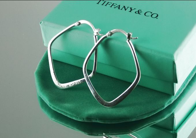 tiffany Earrings-167